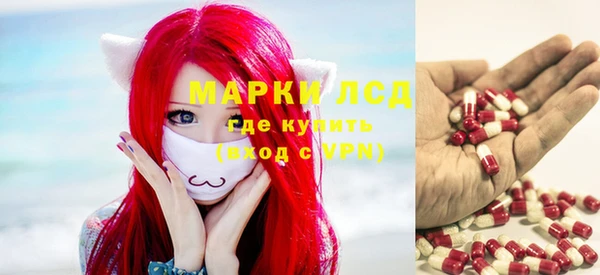 a pvp Ельня