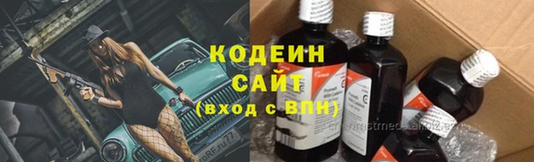 крисы Елизово