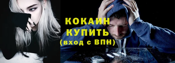 a pvp Ельня