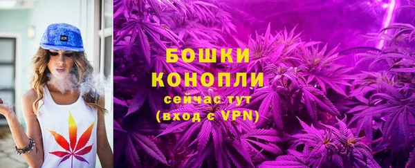 a pvp Ельня