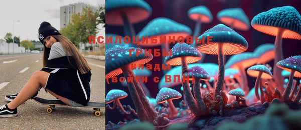 крисы Елизово