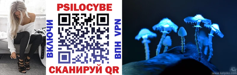 Псилоцибиновые грибы GOLDEN TEACHER  Купить  Кириши 