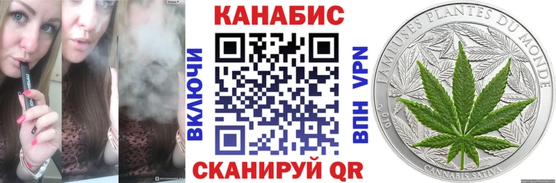 Купить закладки  Кириши  Бошки марихуана план 